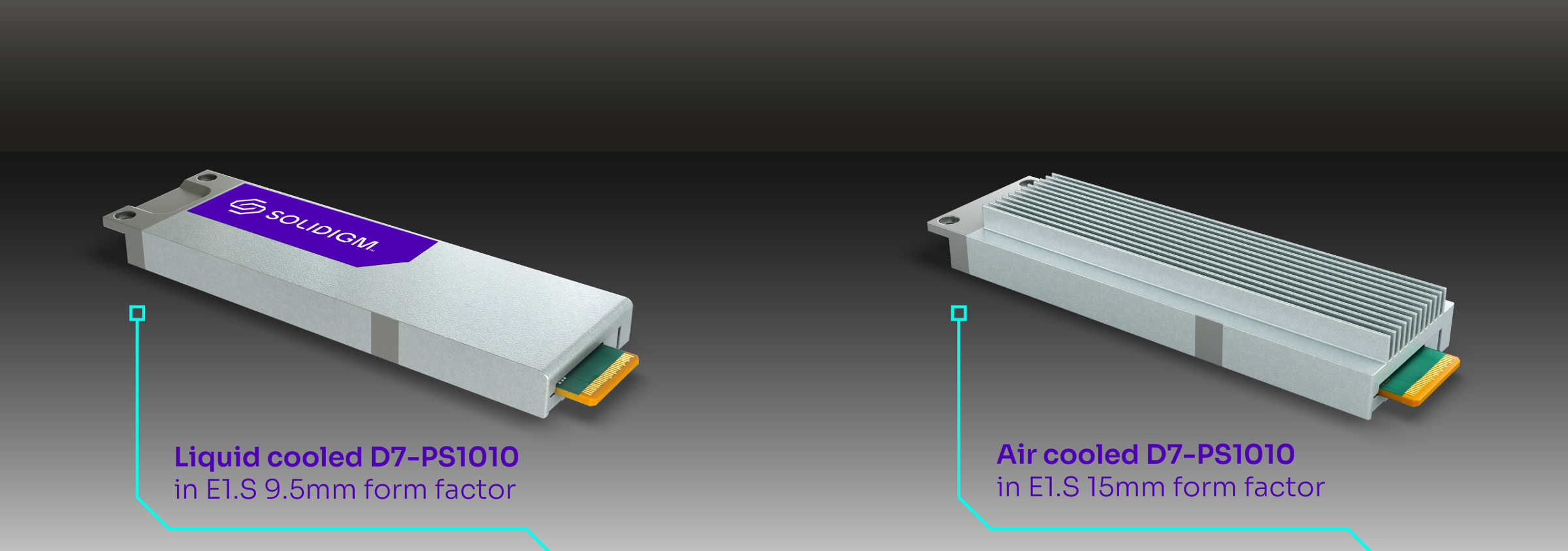 Liquid cooled D7-PS1010 and air cooled D7-PS1010 in E1.S 9.5mm form factor 