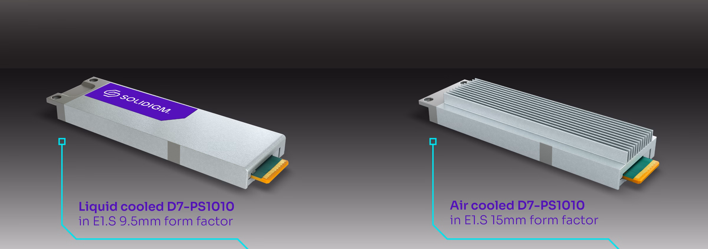 E1.S 9.5mmフォームファクターの液冷D7-PS1010と空冷D7-PS1010 