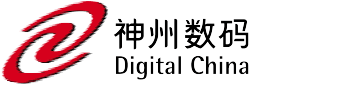 Digital China