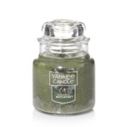 mistletoe small jar candles