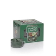 balsam and cedar tea light candles