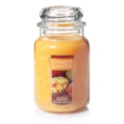 17 oz 3-Wick Tumbler Jar  Candle Making Jars – Peach State Candle