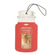 Yankee Candle, Accents, New 4x Yankee Candle Autumn Wreath Wax Tart Melt