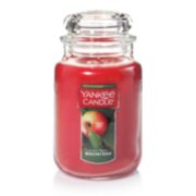 Yankee Candle Large Macintosh Jar Candle - 22 oz