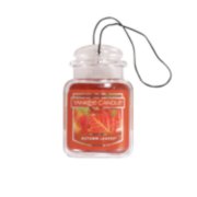 autumn leaves car jar ultimate