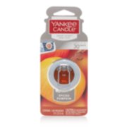 spiced pumpkin smart scent vent clips