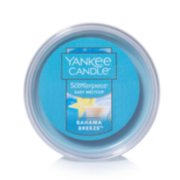 bahama breeze spring scenterpiece easy meltcups