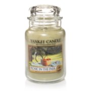 picnic in the park green candles