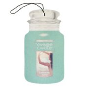 Catching Rays car jar