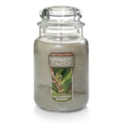 Kitchen Spice™ 22 oz. Original Large Jar Candles - Large Jar Candles