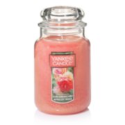 sun drenched apricot rose orange candles