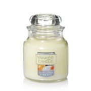 juicy citrus and sea salt small jar candles