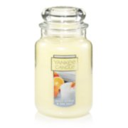 juicy citrus and sea salt citrus fragrances