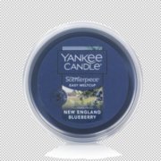 Yankee Candle BLUEBERRY 50th ANNIVERSARY~ Fruit ~ Large 22 oz~ WHITE  LABEL~NEW