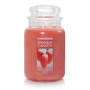 white strawberry bellini large jar candles