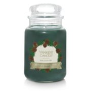 Balsam Fir