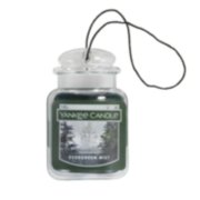 evergreen mist the trendsetter