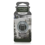 evergreen mist smart scent vent clips
