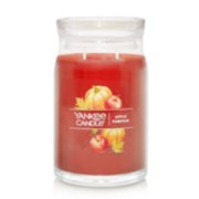 apple pumpkin signature large jar candle