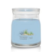  Yankee Candle 1647162 Home Fragrance Oil