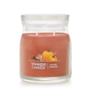 spiced pumpkin signature jar candle with lid