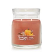 Spiced Pumpkin 20 oz. Signature Large Jar Candle - Signature Large Jar  Candles