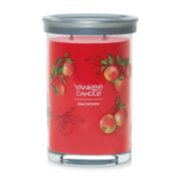 2 wick jar candle macintosh