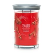 2 wick jar candle sparkling cinnamon