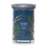 2 wick jar candle bayside cedar