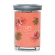 2 wick jar candle tropical breeze