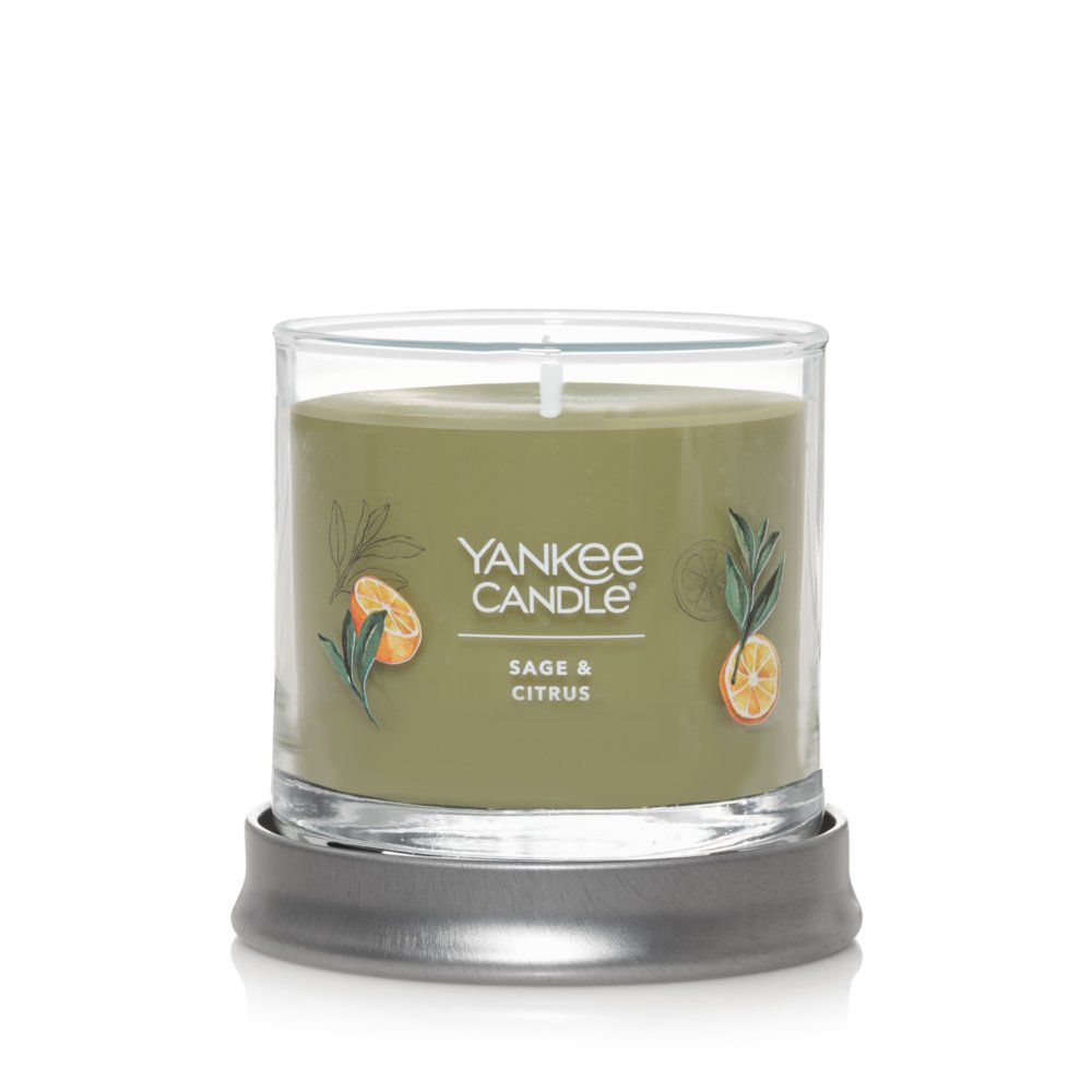 Yankee Candle Candles, Sage & Citrus - 6 candles, 2.6 oz