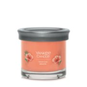 jar candle tropical breeze