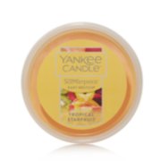tropical starfruit scenterpiece easy meltcups