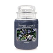 Large blueberry jar candle