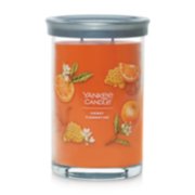 honey clementine signature large 2 wick tumbler candle