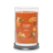 2 wick jar candle, honey clementine image number 1