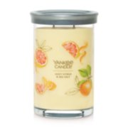 2 wick jar candle juicy citrus and sea salt