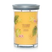 2 wick jar candle tropical grapefruit