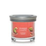 Cliffside Sunrise 22 oz. Original Large Jar Candles - Large Jar Candles