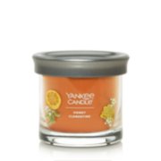 Yankee Candle USA Rare Honey Clementine Car Jar 