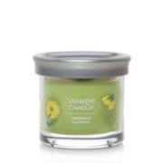 Small candle tumbler pineapple cilantro