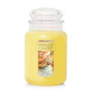 sunlit autumn large jar candle