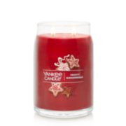 frosty gingerbread signature large jar candle image number 1