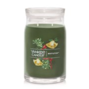 mistletoe signature large jar candle