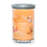 mango ice cream signature large tumbler candle