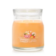 mango ice cream signature medium jar candle