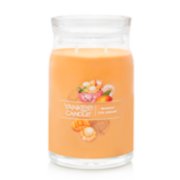 mango ice cream signature large jar candle