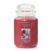 sweet plum sake original jar candle