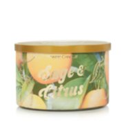 sage and citrus three wick candle