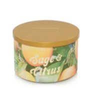 sage and citrus three wick candle